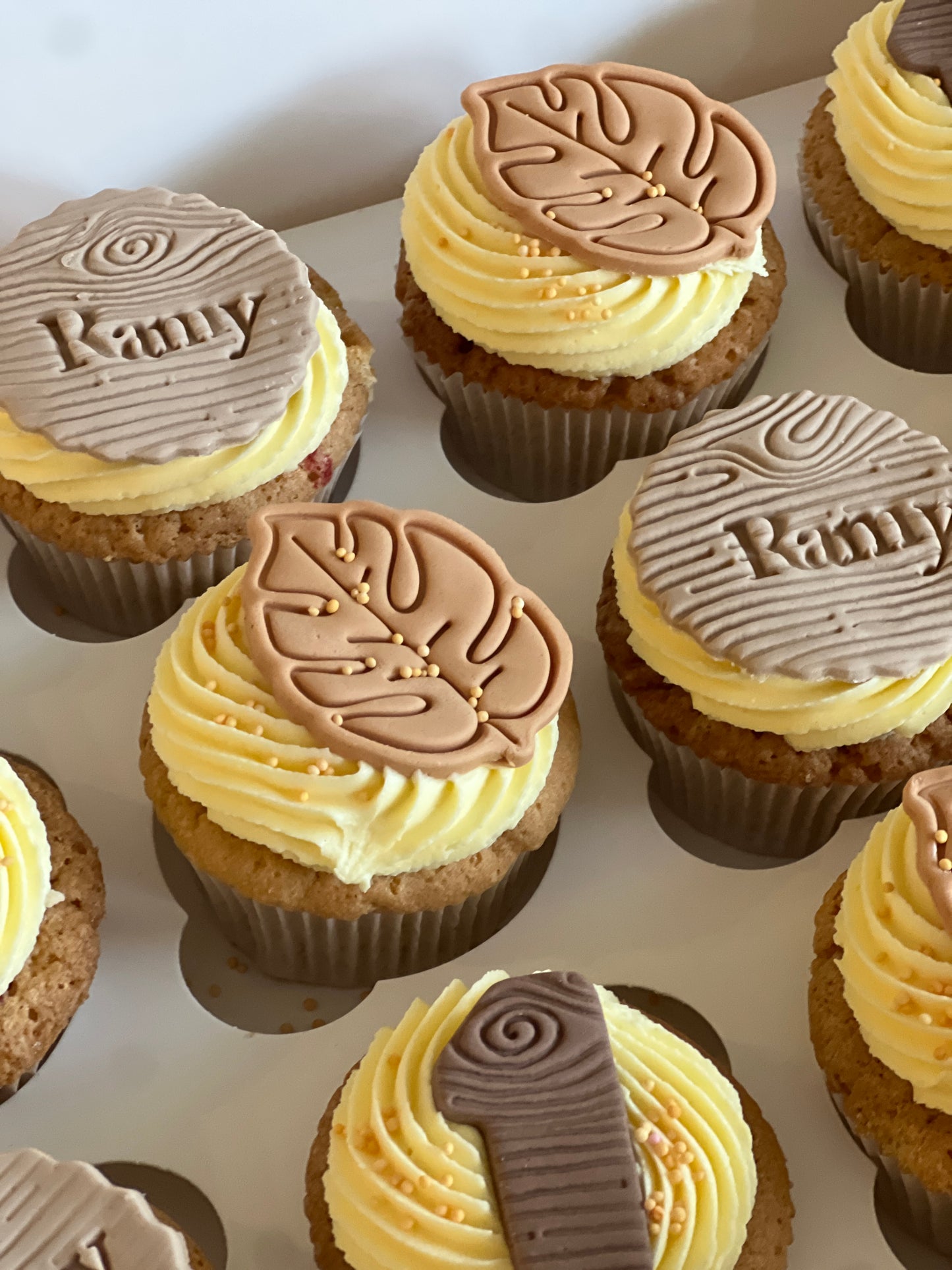 6 cupcake