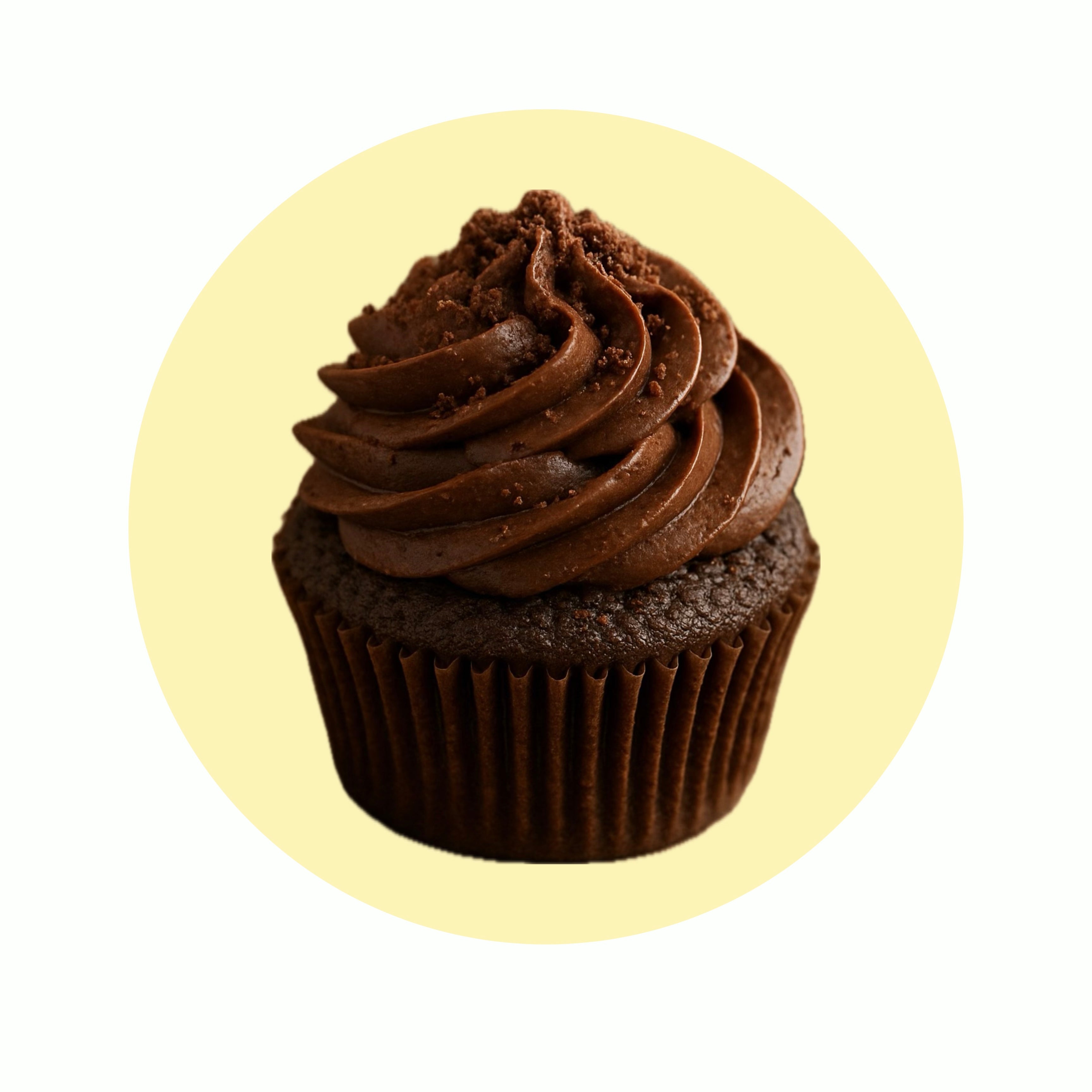 Cupcake chocolat par 12